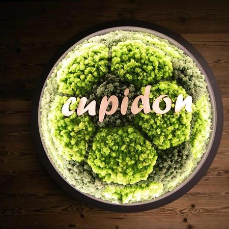 Pensiunea Cupidon Tirgu Secuiesc Luaran gambar